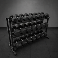 Kit de Halteres Sextavado Injetados com Pegada Cromada (12 à 30kg 10 pares) com suporte