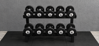 Kit dumbell injetado 12 ao 20KG + Suporte